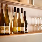 Wehlener Klosterberg Apartmán *